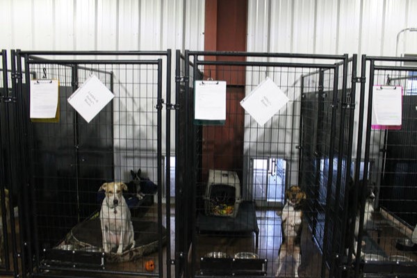 Advantages of Steel Buildings Faster Occupancy