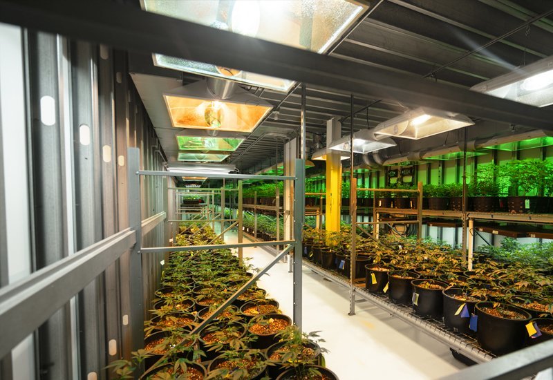 Agricultural pre-engineered steel buildings